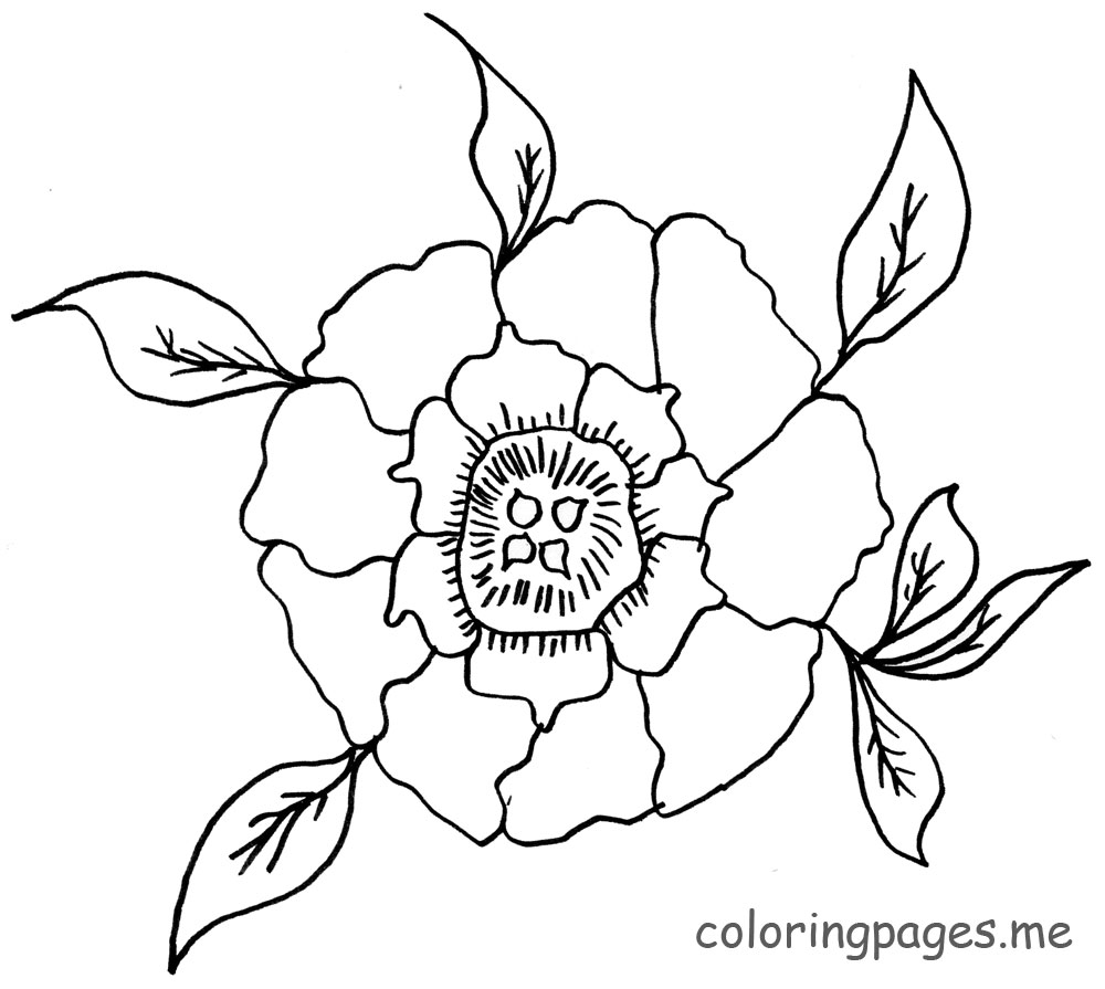 1000x895 Peony Coloring Pages Art Journal Page Ready