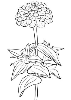 236x334 Rose With Thorns Coloring Page Roses Category Select