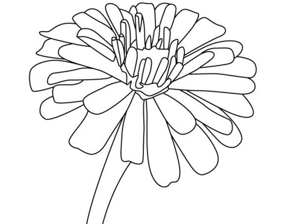 580x454 Free Flower Coloring Page
