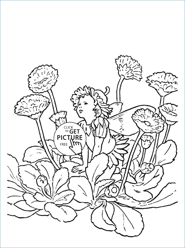 736x986 Letter Z For Zinnia Flower Fairy Coloring Page