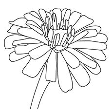 230x230 Top Free Printable Flowers Coloring Pages Online Zinnias
