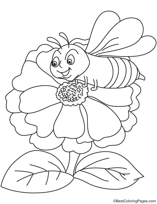 612x792 Zinnia Flower Coloring Pages Free Crafts Flower