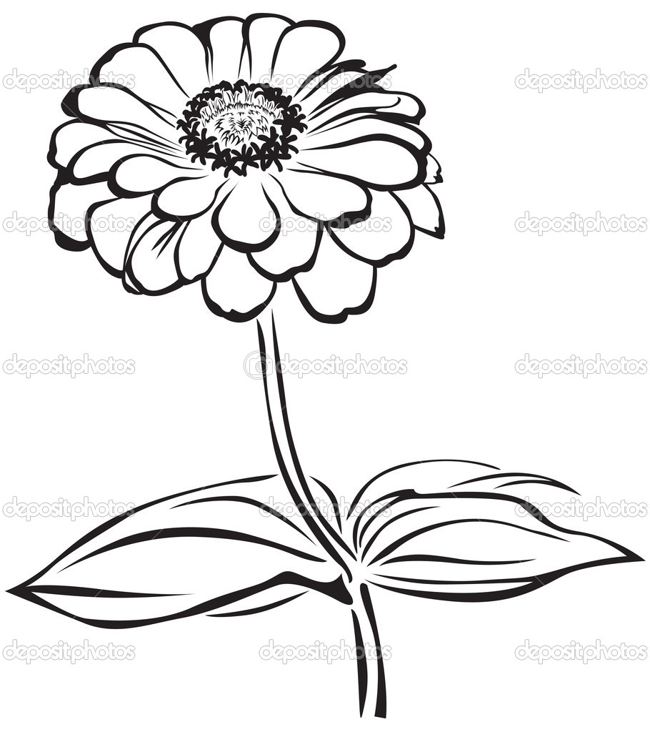 910x1024 Zinnia Flower Drawing Zinnia Flower Coloring Page Free Printable