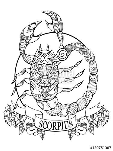 375x500 Scorpio Zodiac Sign Coloring Book Page For Adults Fotolia