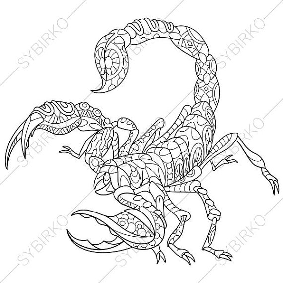 570x570 Scorpion Scorpio Zodiac Sign Coloring Page Animal Coloring