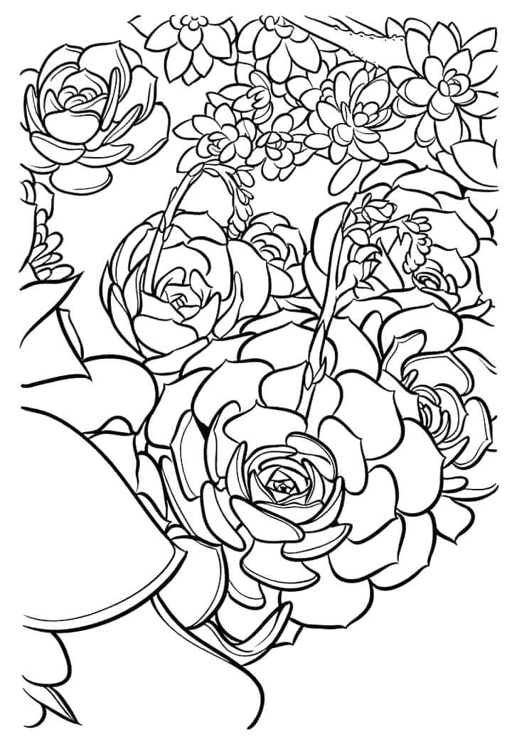 727x1047 Zodiac Coloring Pages Zodiac Signs Coloring Sheets Zodiac Coloring