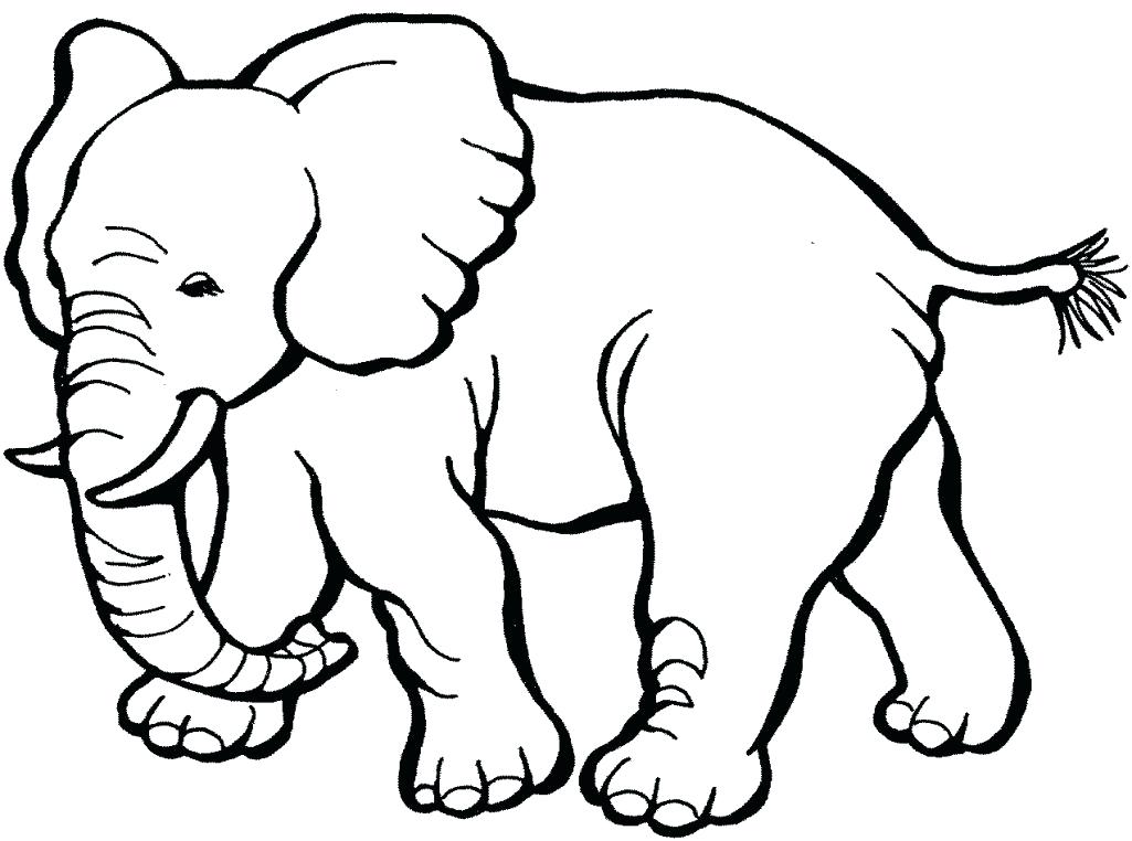1025x762 Zoo Animals Coloring Pages Icontent