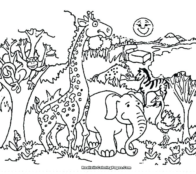 678x600 Zoo Animals Colouring Pages Free Icontent