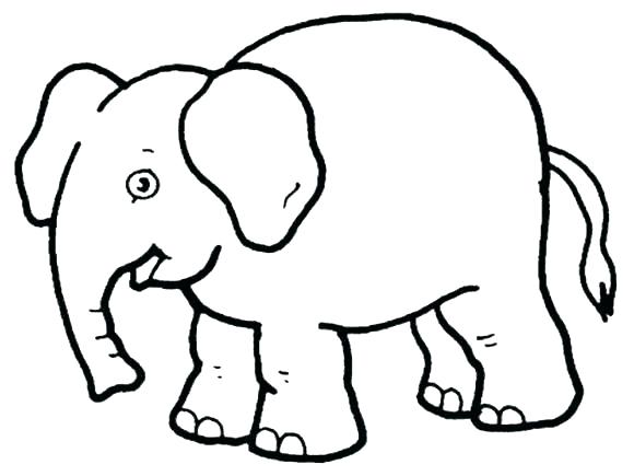 580x435 Coloring Pages Zoo Animals Coloring Pages Animals Coloring Pages