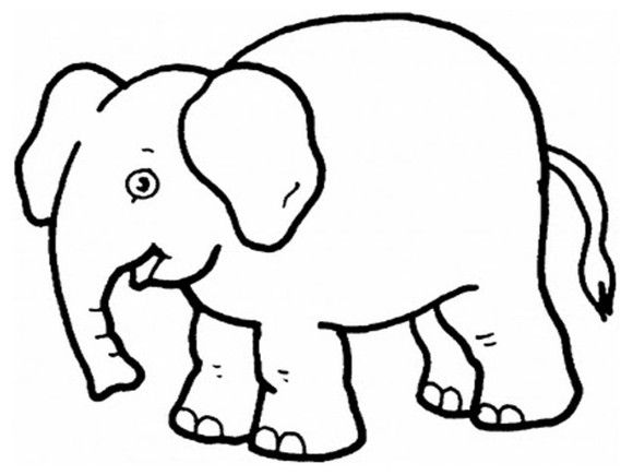 580x435 Elephant Drawings For Kids