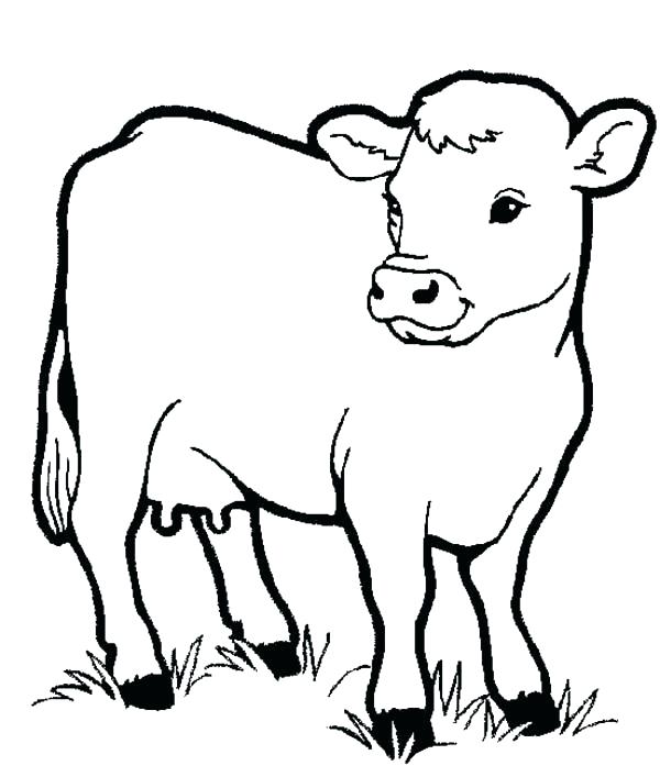 600x707 Zoo Animal Coloring Pages For Preschool Zoo Animal Coloring Pages