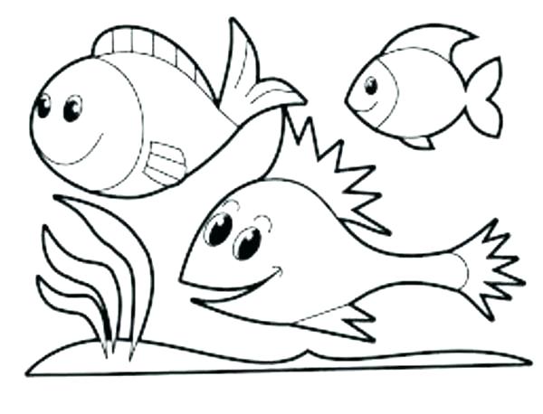 600x458 Animal Coloring Pages For Preschoolers Zoo Animal Coloring Pages