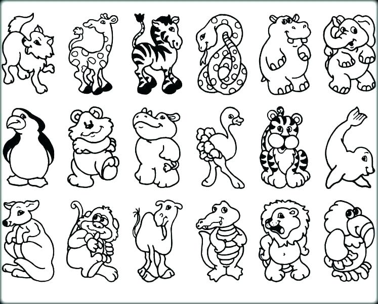 747x600 Zoo Animals Coloring Pages For Kindergarten Baby Animal Tang