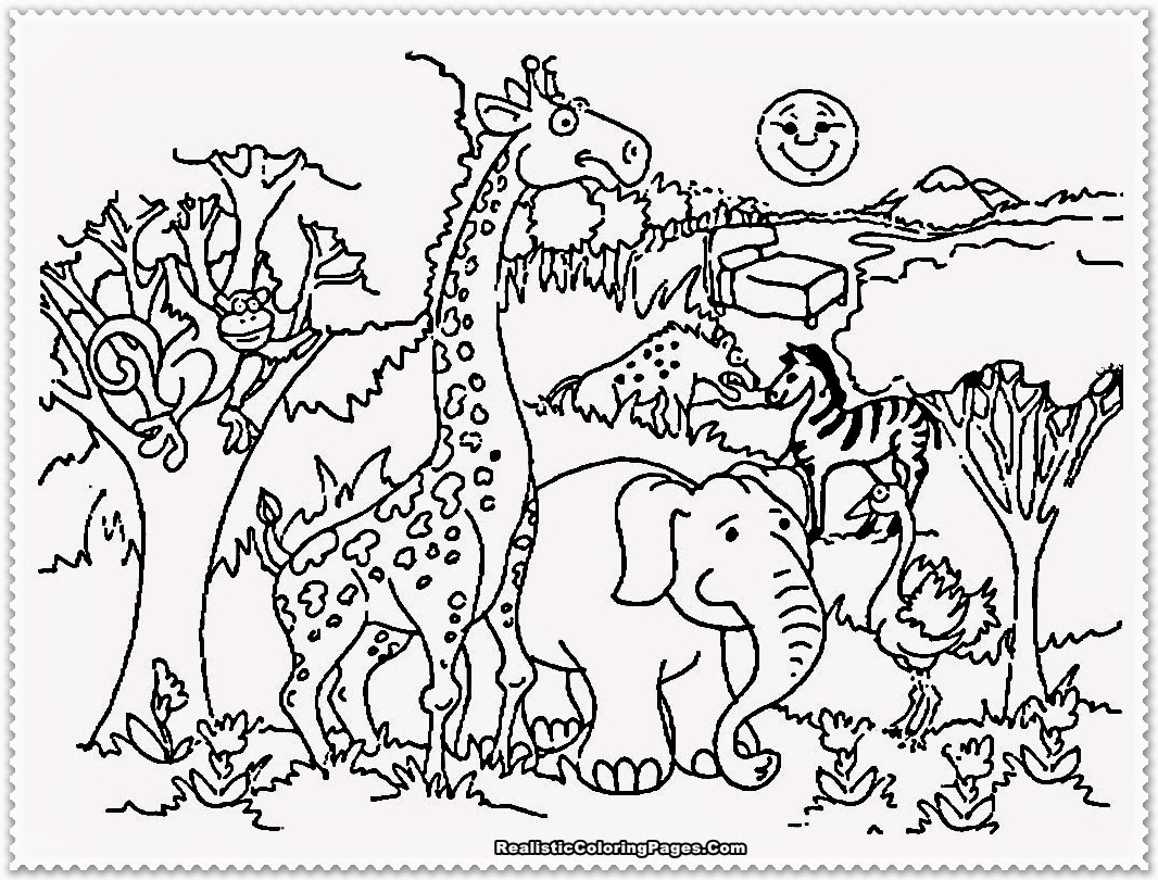 1066x810 Revisited Zoo Animals Coloring Sheet Animal Pa