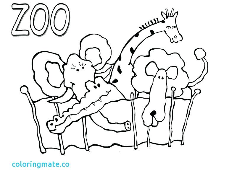 774x613 Popular Zoo Coloring Pages To Print Printable Zoo Animal Coloring