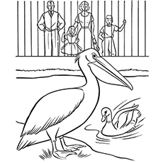 230x230 Top Free Printable Zoo Coloring Pages Online