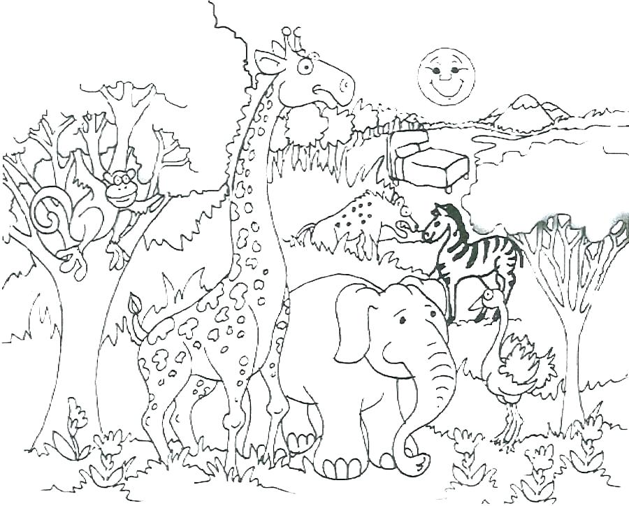 900x724 Zoo Animals Coloring Page Coloring Pages For Animals Coloring