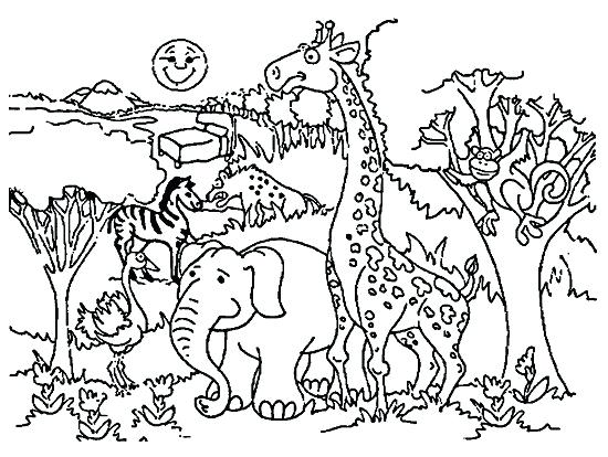 550x414 Zoo Coloring Pages Zoo Coloring Pages Zoo Animals Coloring Pages
