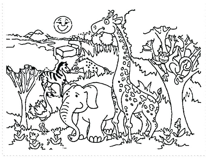 687x522 Zoo Coloring Pages Zoo Animals Coloring Page Preschool Coloring