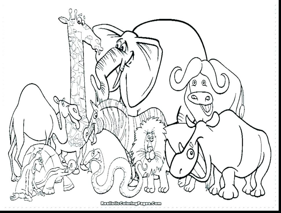 970x737 Coloring Pages Of Zoo Animals For Preschool Coloring Pages Of Zoo