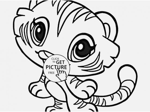 640x480 Zoo Animals Coloring Pages Pics Destiny Baby Animal Coloring Book