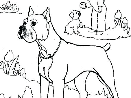 440x330 Boxer Dog Coloring Pages Boxer Dog Coloring Pages Zoom Puppy
