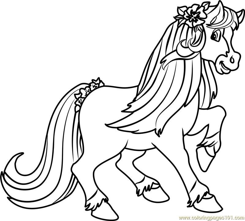 800x723 Honey Pie Pony Coloring Pages