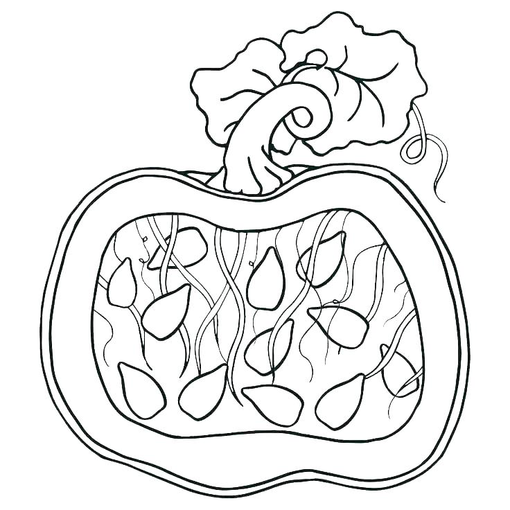 736x736 Pumpkin Patch Coloring Pages Pumpkin Patch Coloring Pages Pumpkin