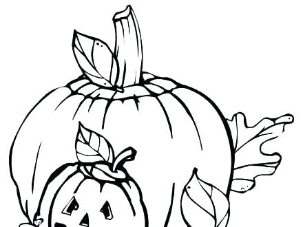 440x330 Squash Coloring Page Acorn Coloring Page Acorn Pictures To Color