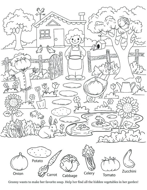 570x737 Hidden Picture Coloring Pages