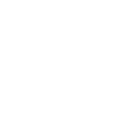 White Whatsapp Icon