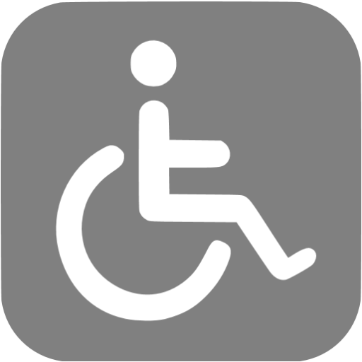 Gray Accessibility Icon