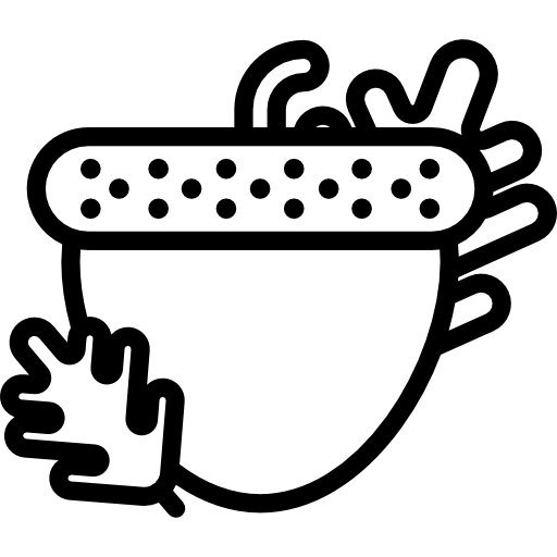Acorn Icon