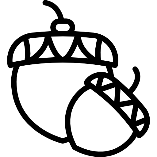 Acorn Icon