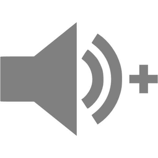 Gray Audio Add Icon