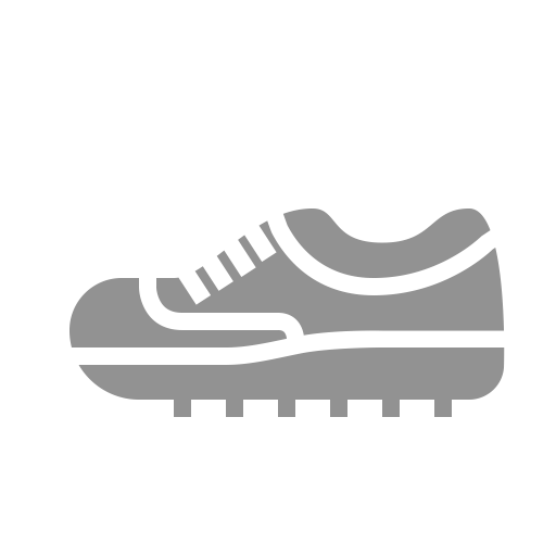 Shoe Icon