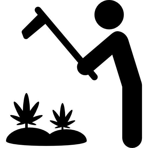 Crop, Plantation, Grow, Weed, Marijuana, People, Agriculture Icon