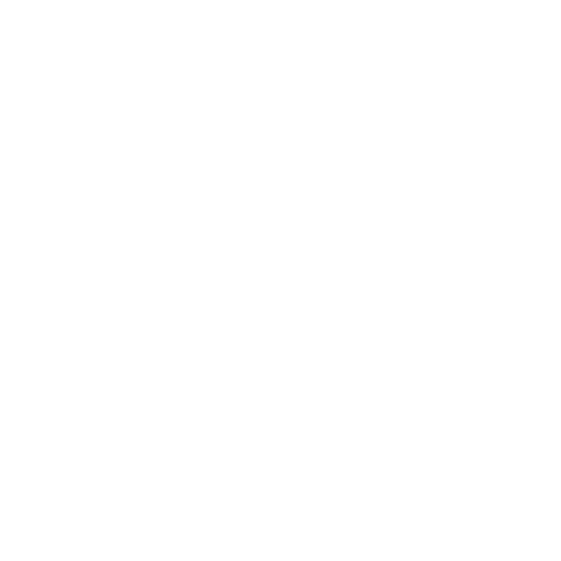 White Airplane Icon
