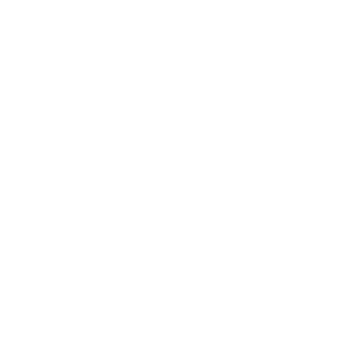 White Alert Icon
