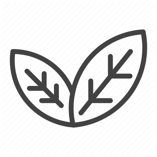 Eco, Green, Leaf, Natural Icon