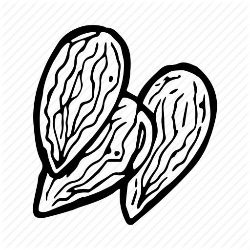 Almond, Dry, Food, Nut Icon