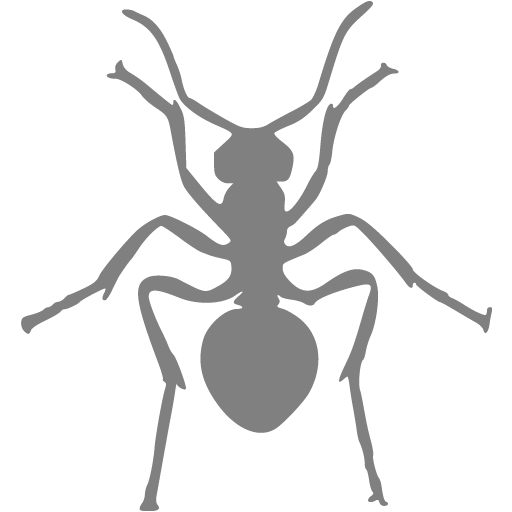 Gray Ant Icon
