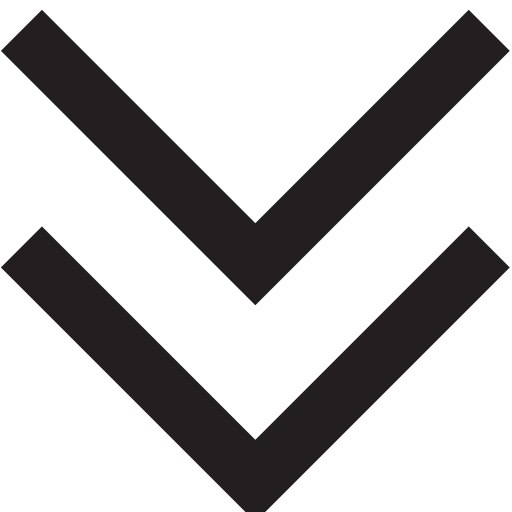 Down, Arrow, Double Icon