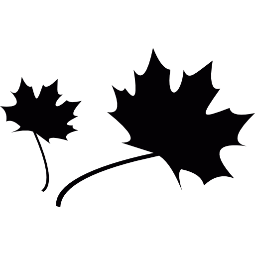 Fall, Autumn, Tree Leaf Icon