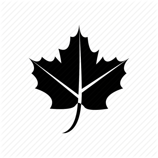 Autumn, Leaf, Maple, Nature, Tree, Weather Icon