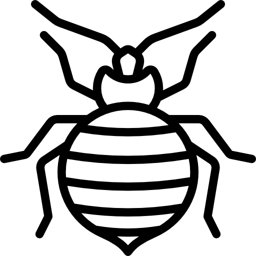 Bedbug Vectors, Photos And Free Download