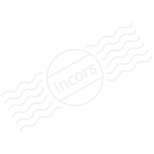 Iconexperience M Collection Badminton Racket Icon