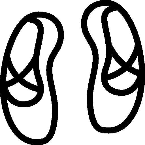 Ballet Shoes Icon
