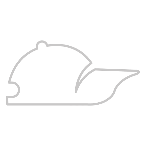 Baseball Hat Icon