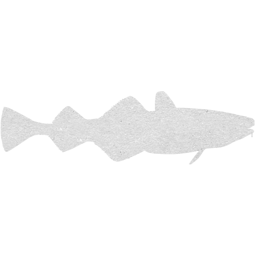 Cardboard Fish Icon